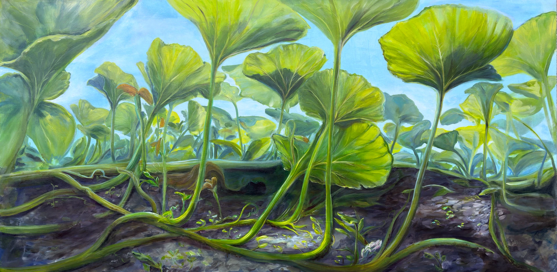 The Patch - 72" x 36"