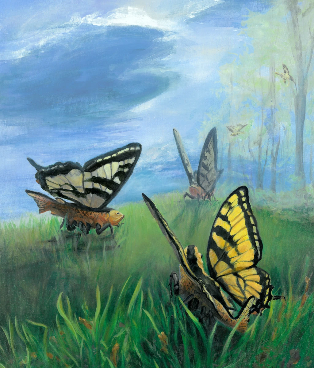 butterfly trout, fairies 
